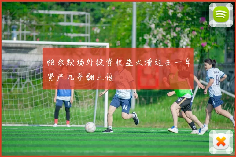 帕尔默场外投资收益大增过去一年资产几乎翻三倍