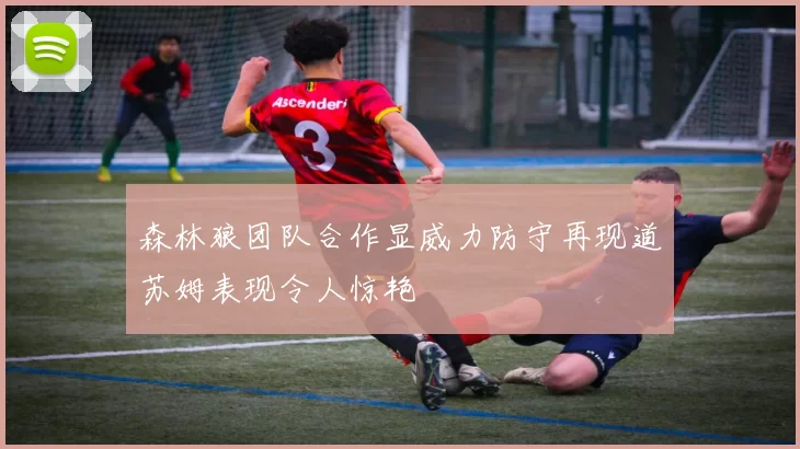 森林狼团队合作显威力防守再现道苏姆表现令人惊艳