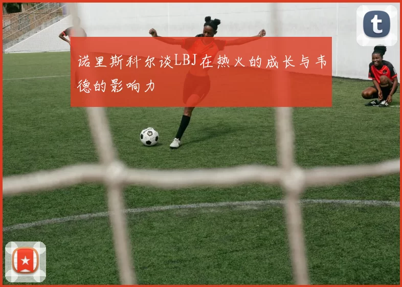 诺里斯科尔谈LBJ在热火的成长与韦德的影响力