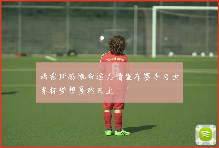 西蒙斯感慨命运无情宣布赛季与世界杯梦想戛然而止