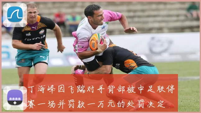 丁海峰因飞踹对手背部被中足联停赛一场并罚款一万元的处罚决定
